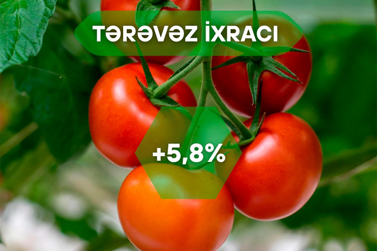 Xarici bazarlara [[tərəvəz ixracında]] 5,8% artım qeydə alındı