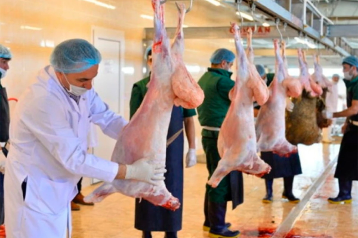 Qurbanlıq [[heyvanın kəsimi zamanı]] hansı tələblərə əməl edilməlidir?