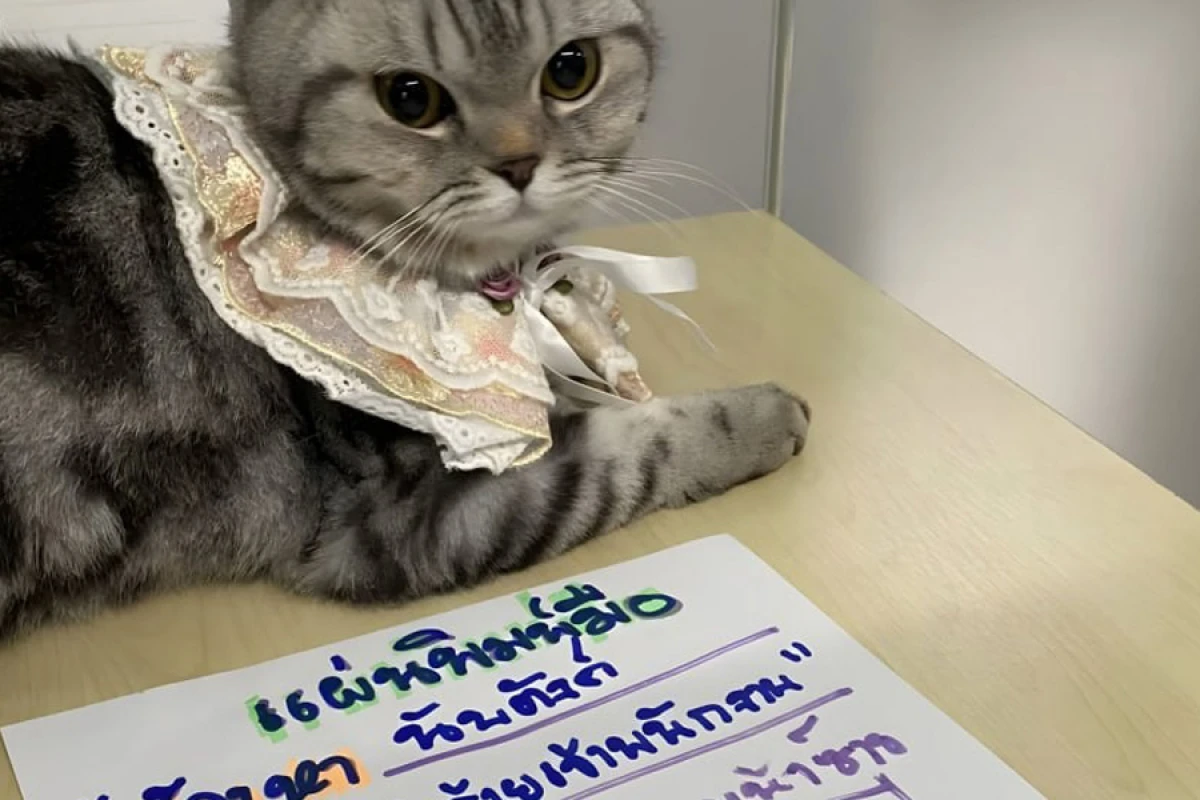 Polisə hücum edən [[pişik həbs edildi]]