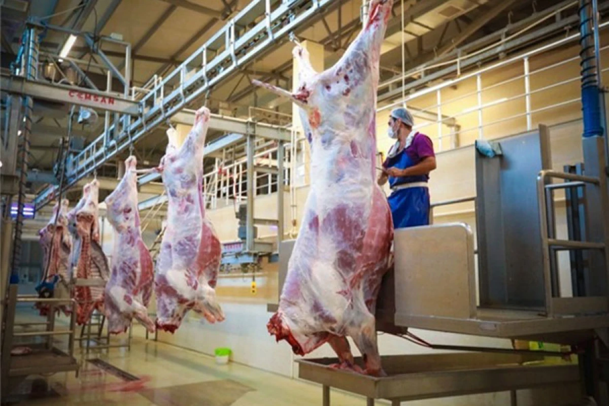Qurbanlıq [[heyvanların satışı və kəsimi xidmətləri]] göstəriləcək ünvanlar açıqlandı