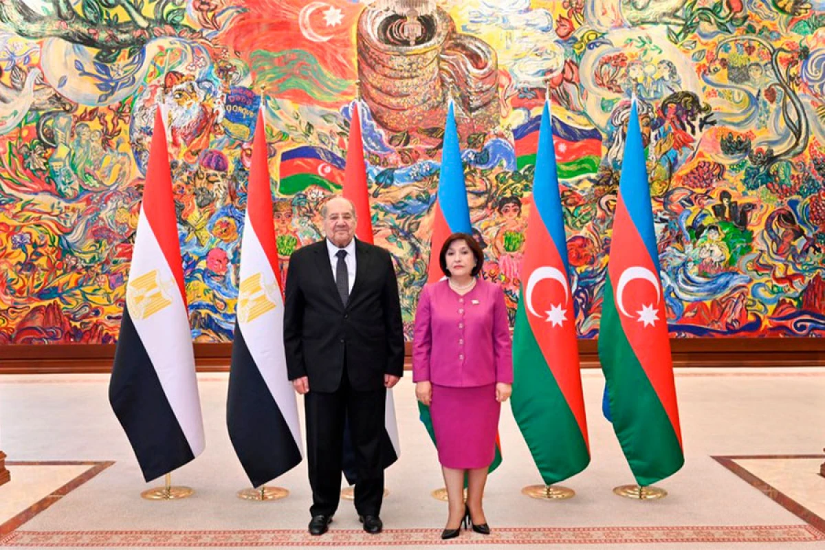 Sahibə Qafarova [[Misir Senatının sədri ilə]] görüşdü