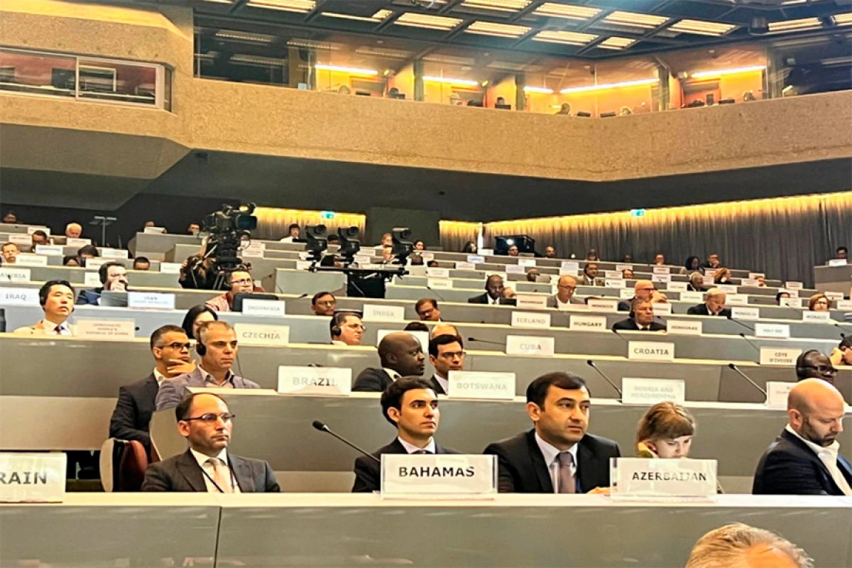 FHN-in nümayəndəsi [[BMT sessiyasında]] iştirak etdi
