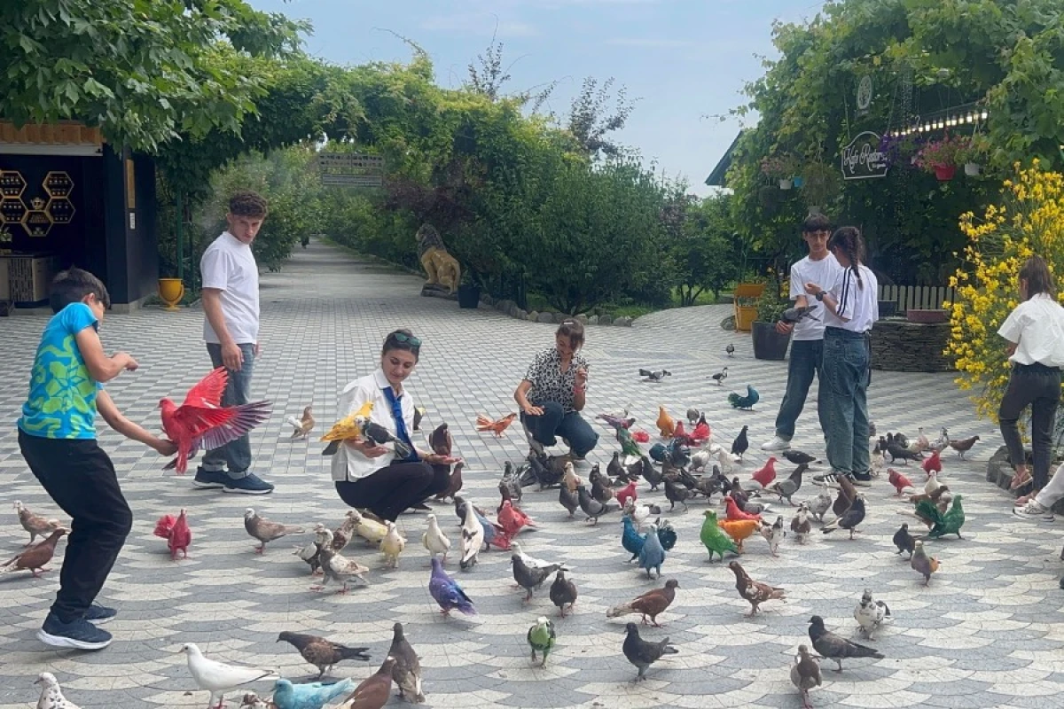 Uşaq evi sosial xidmət muəssisəsinin bir qrup sakini üçün ekskursiya təşkil edildi