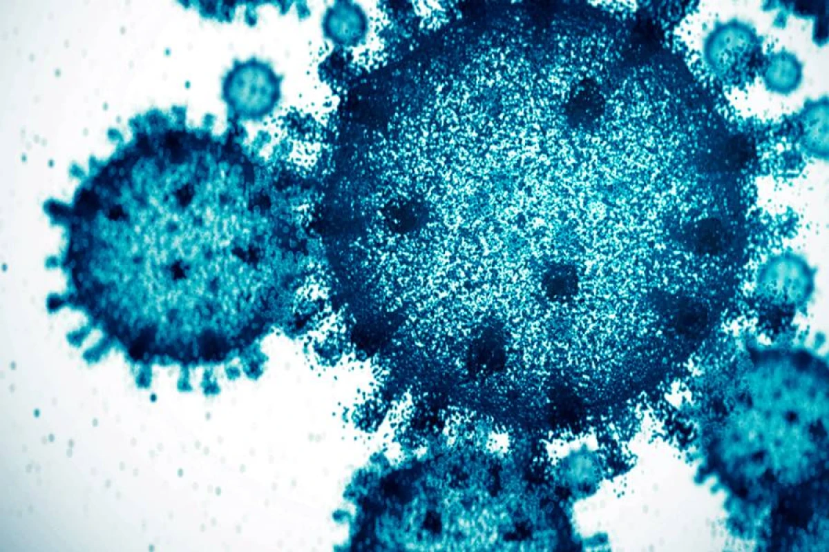 Pakistanda yeddi rayonda [[poliovirus]] aşkarlandı