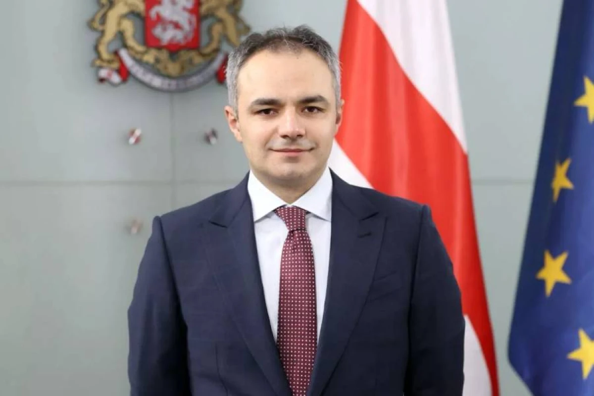 Gürcüstanın təhsil naziri istefa verdi