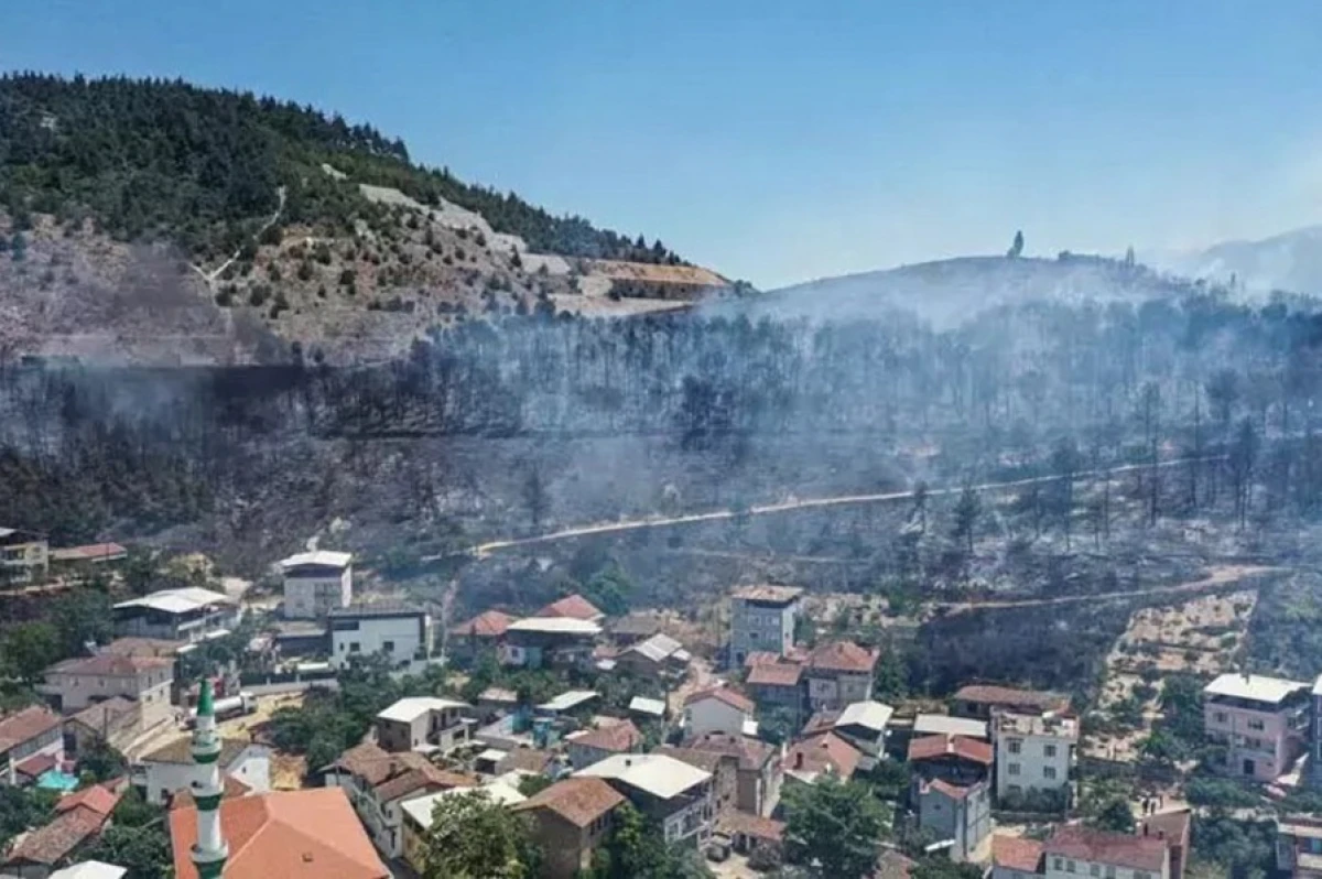 Türkiyədə meşə yanğınlarına görə [[10 nəfər həbs edildi]]