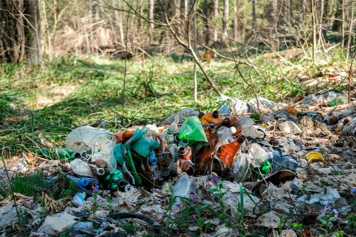 Yeni sezonun köhnə problemi: [[Zir-zibili təbiətə atanlar...]]
