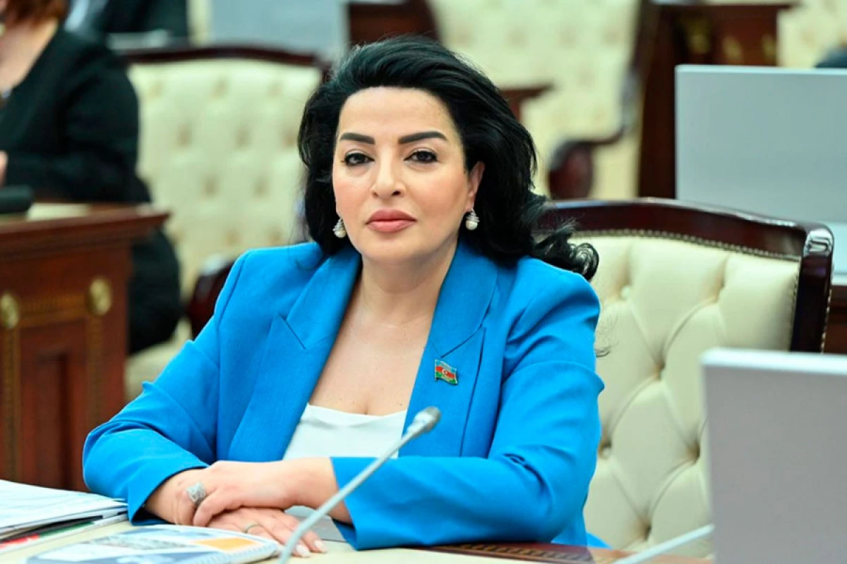 [[Millət vəkili:]] “Azərbaycan mətbuatına dövlət qayğısı yüksək səviyyədədir”