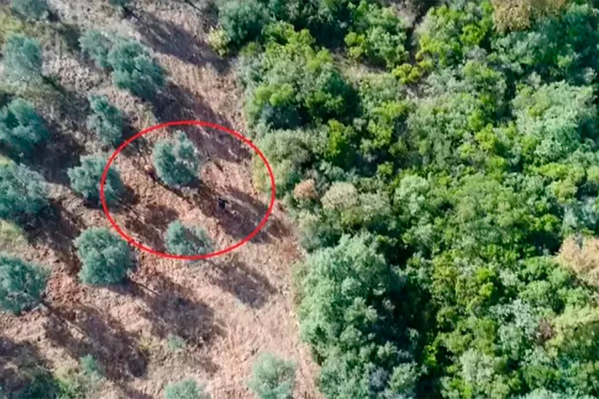 Meşə yanğını [[törədənlər]] drondan qaça bilmədilər