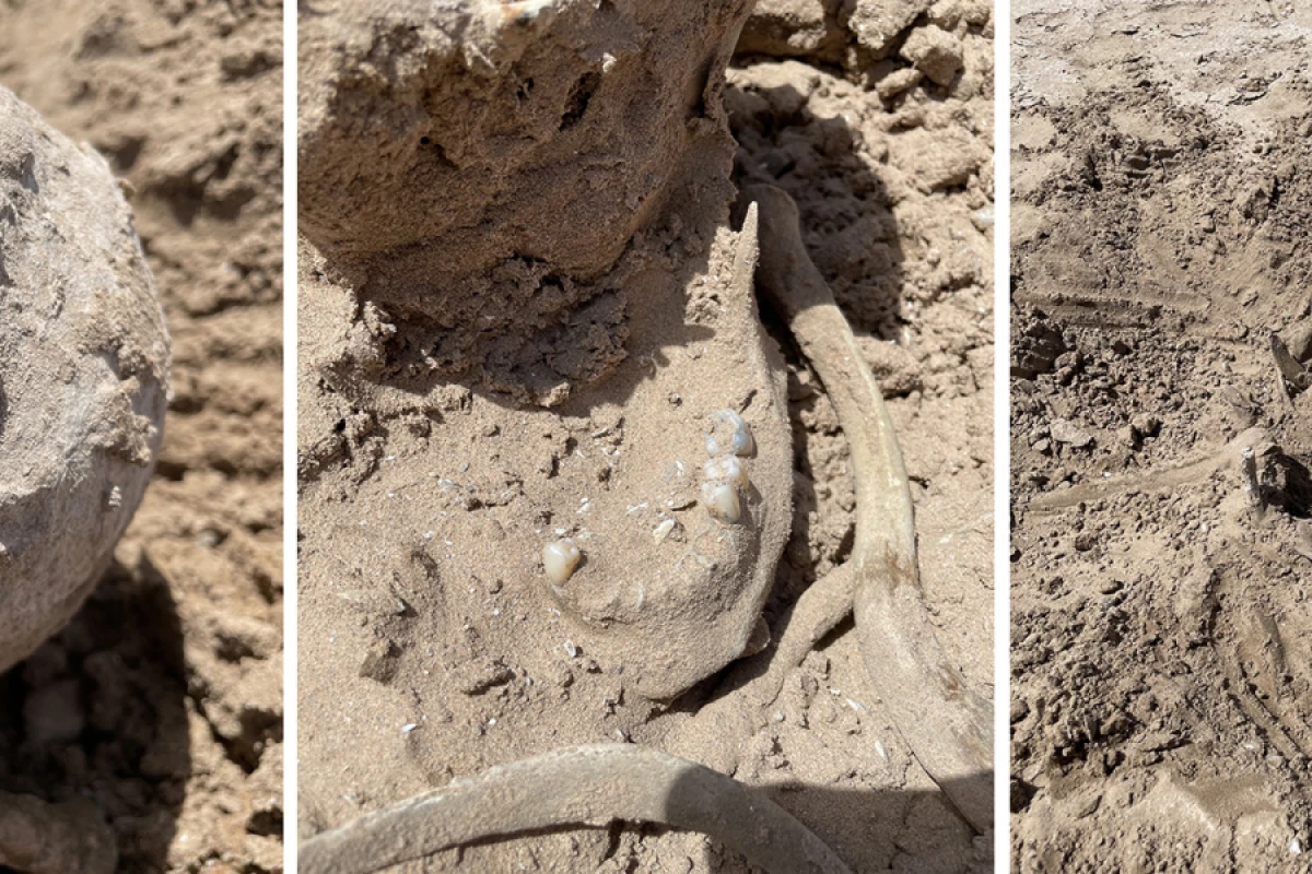 [[Qubada]] insan sümükləri tapıldı