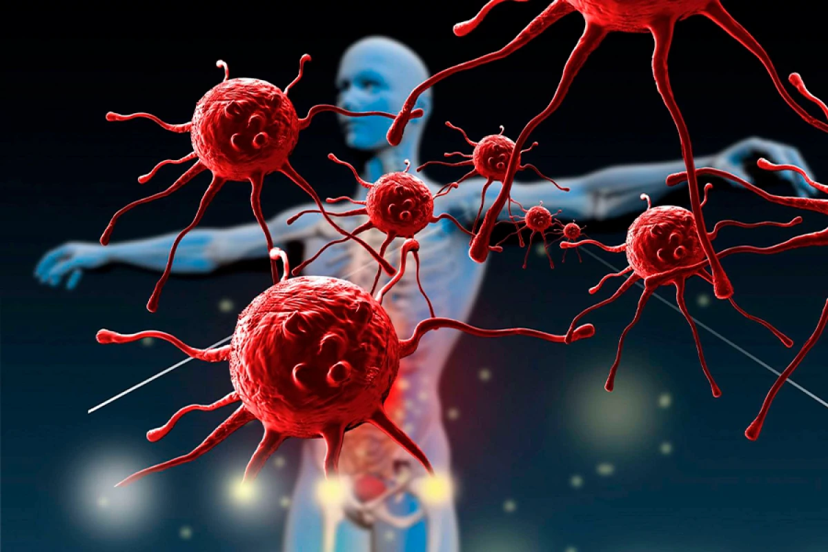 İmmunitet sistemi [[bədənə]] zərər də verə bilər