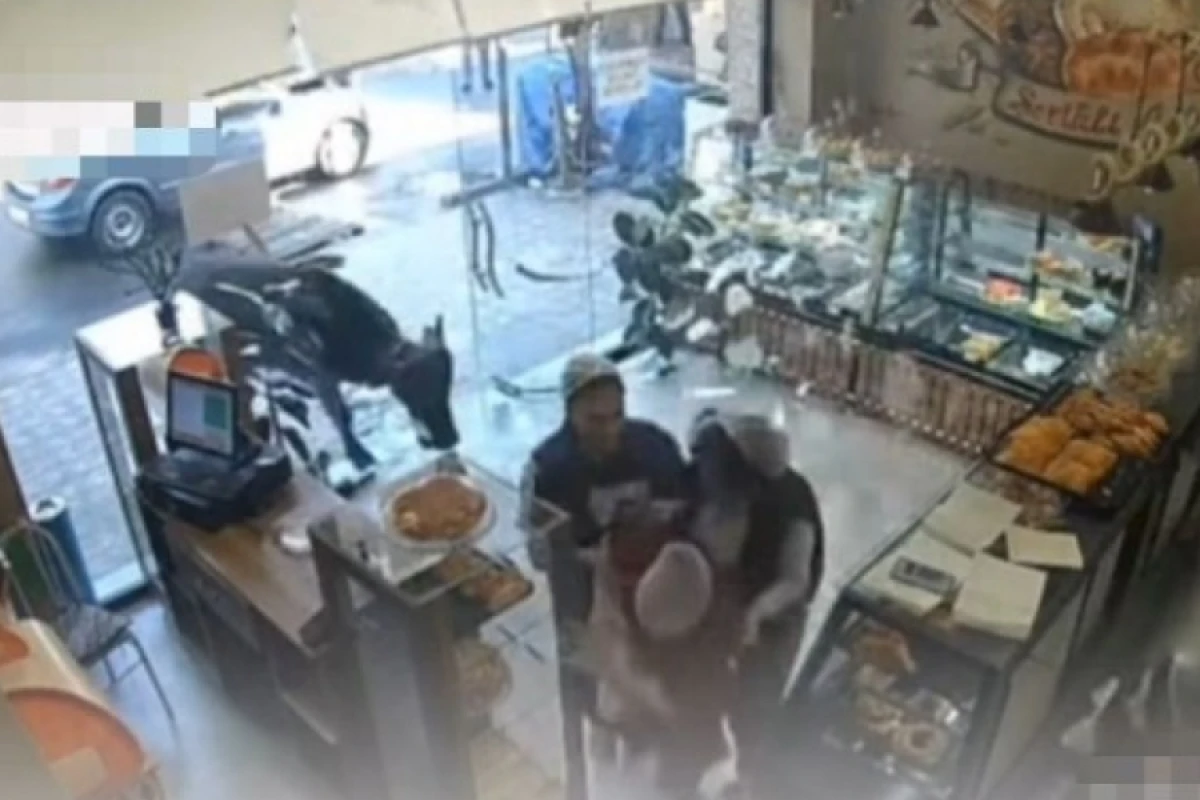 Gəncədə [[inək şirniyyat]] mağazasına hücum edib