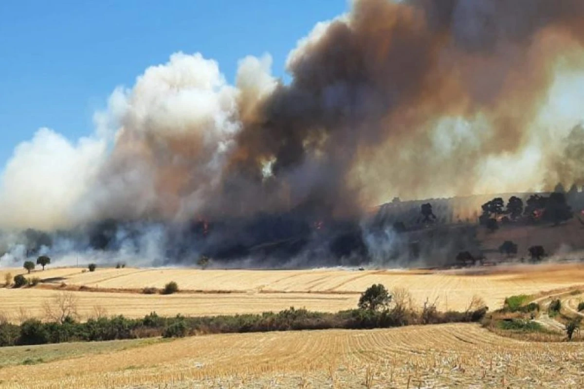 Türkiyədə meşəlik ərazidə [[YANĞIN]]