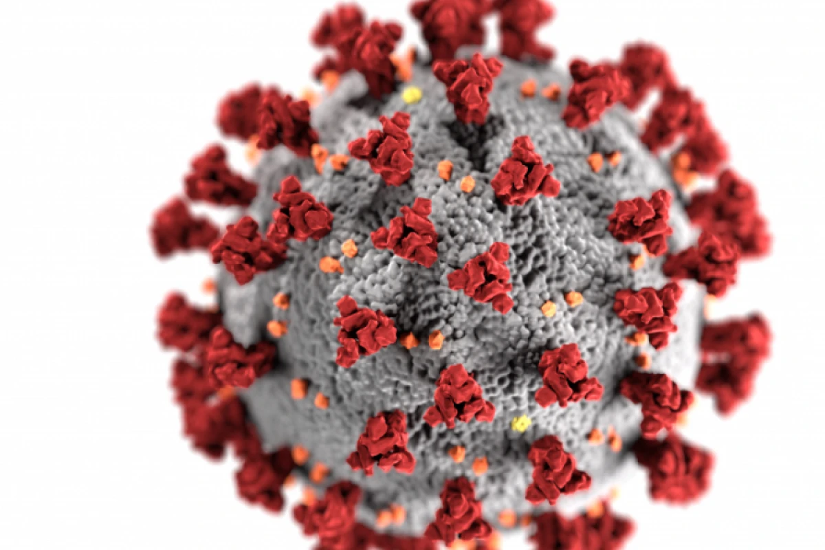 Litvada [[COVID-19 xəstələrinin sayı]] bir gündə iki dəfədən çox artdı