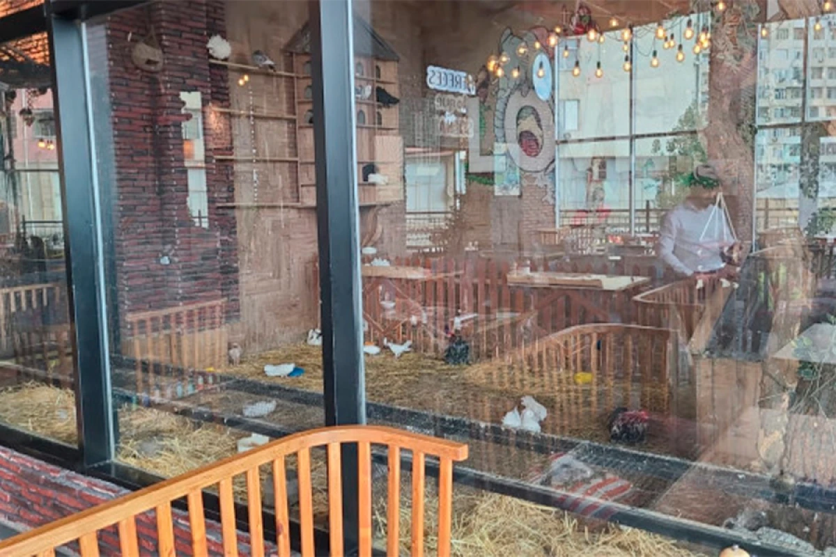 [[Vəhşi heyvanların qanunsuz saxlanıldığı]] restorana xəbərdarlıq edildi