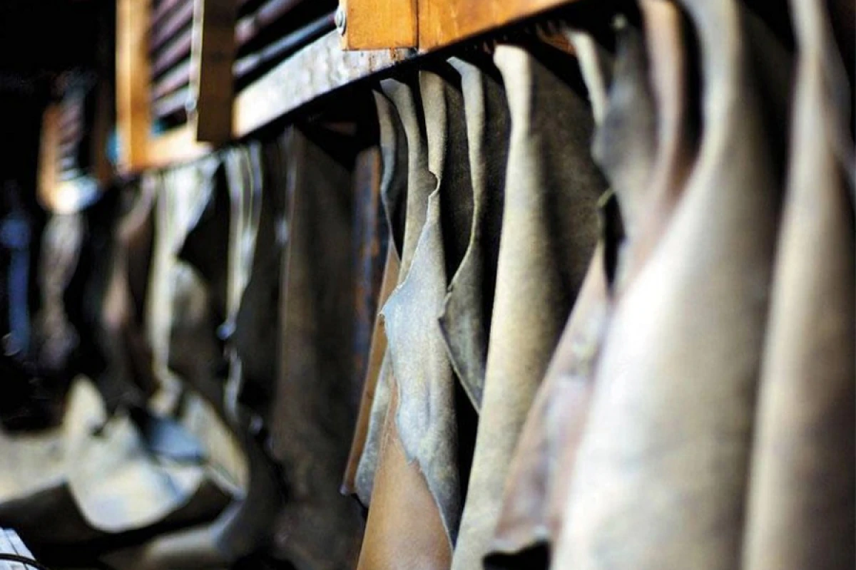 Dəri istehsalı [[51 %-dən çox]] artdı