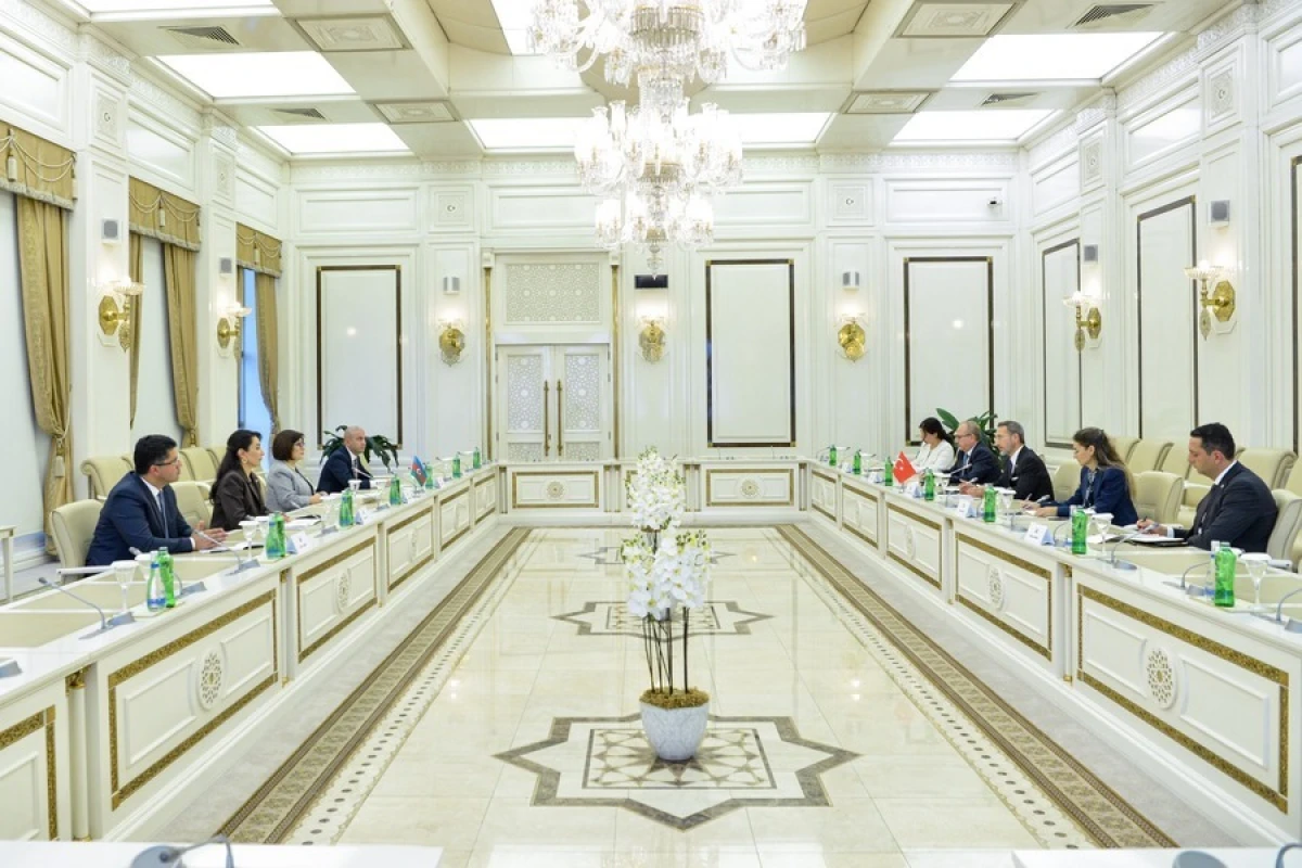 Azərbaycan və Türkiyə insan hüquqları sahəsində [[beynəlxalq əməkdaşlığı müzakirə etdi]]