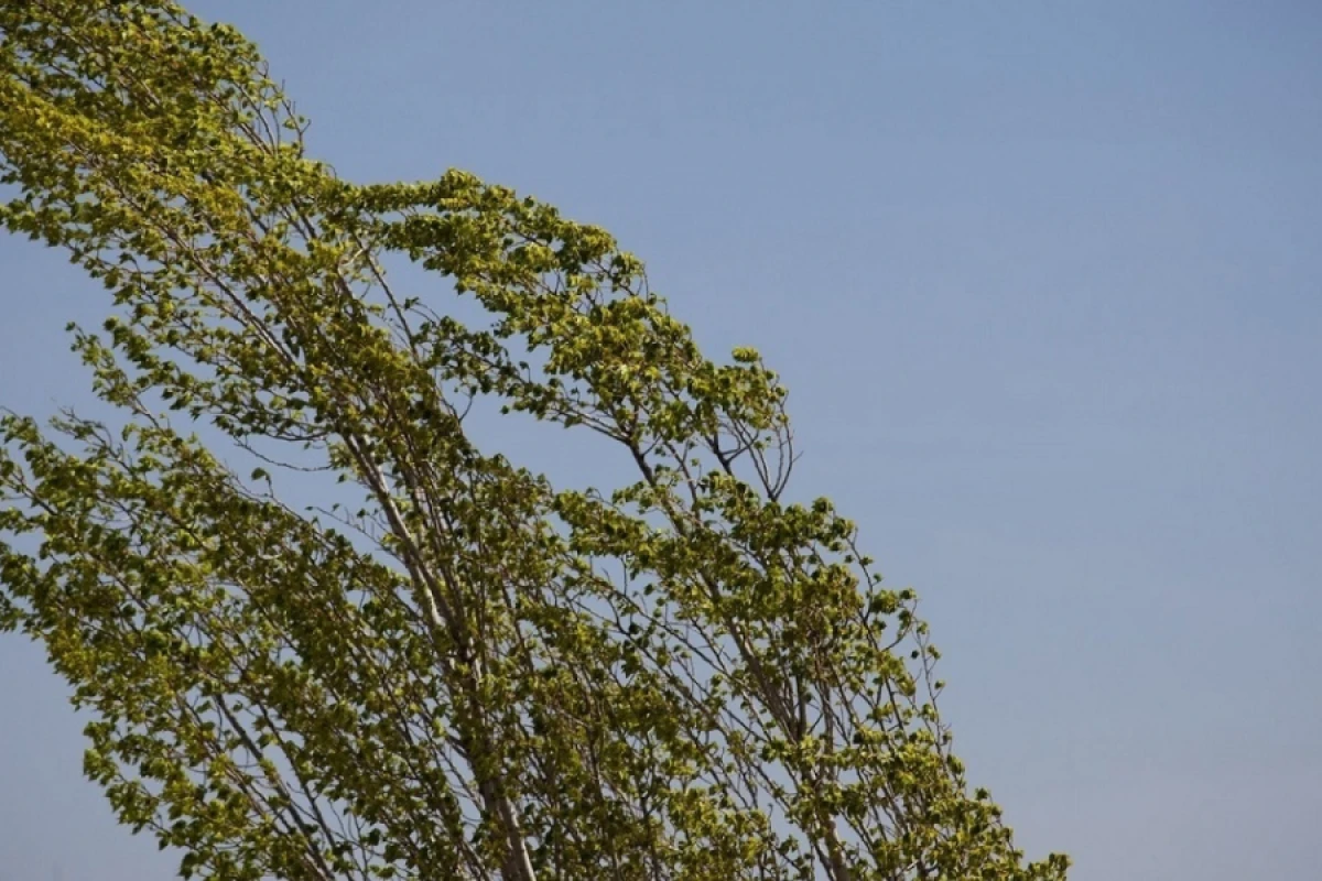 Küləklə bağlı [[xəbərdarlıq edildi]]