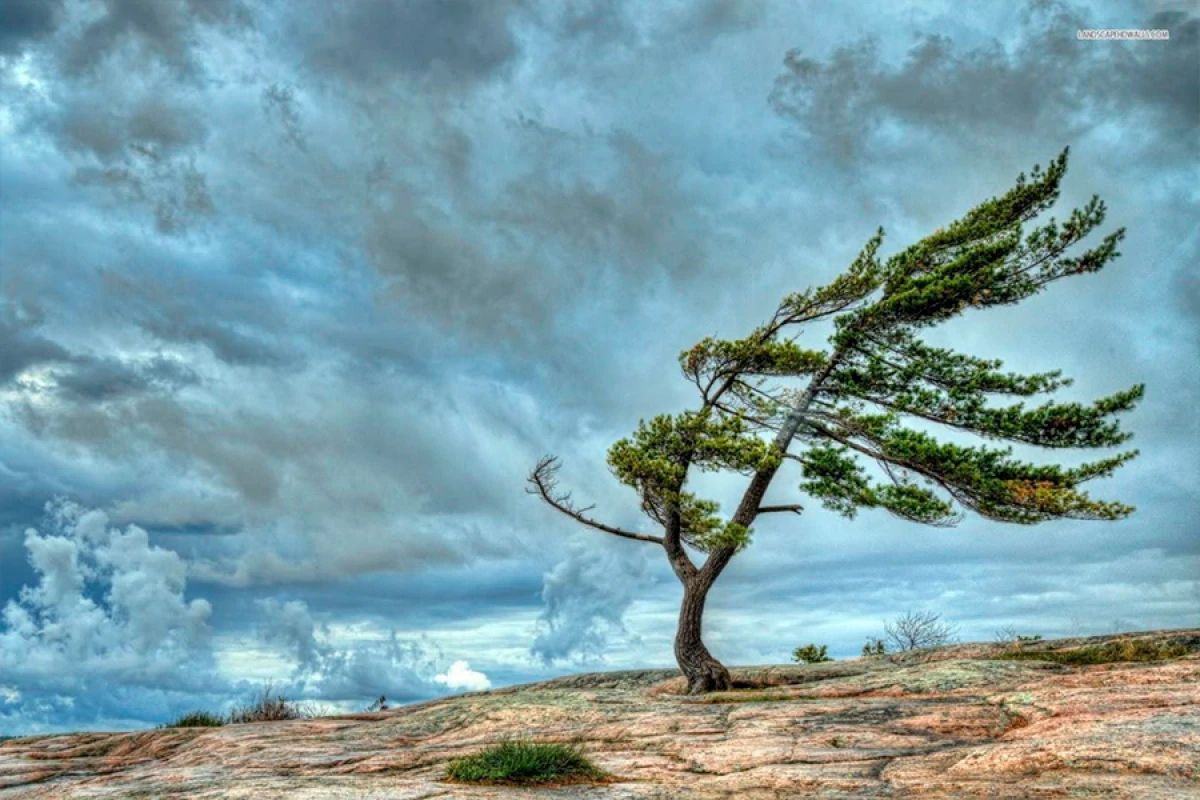 Küləkli hava şəraiti ilə bağlı [[sarı və narıncı xəbərdarlıq]] verildi