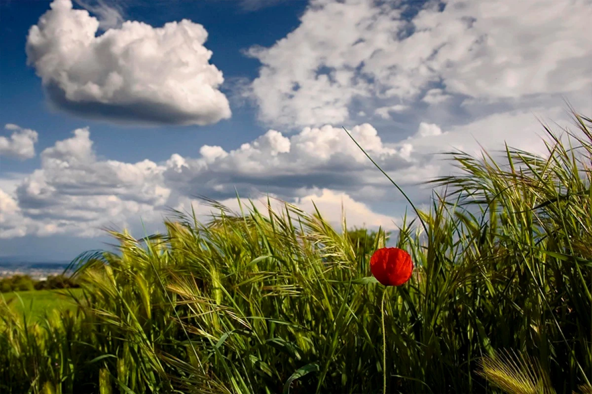 [[Sabah]] hava yağmursuz keçəcək