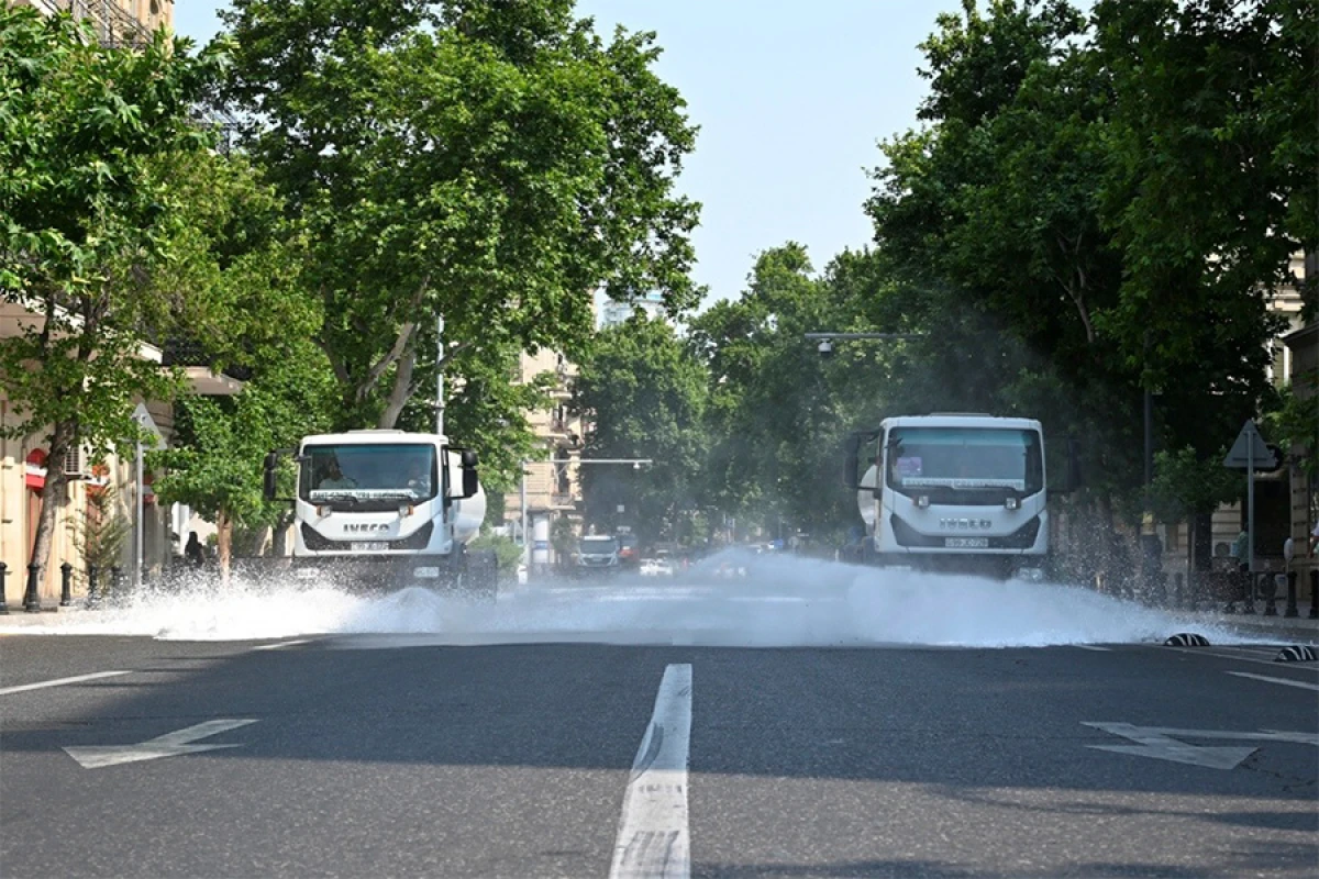 Gün ərzində paytaxtın 555 küçəsi yuyulub, [[400 Çezalpiniya kolu əkilib]]