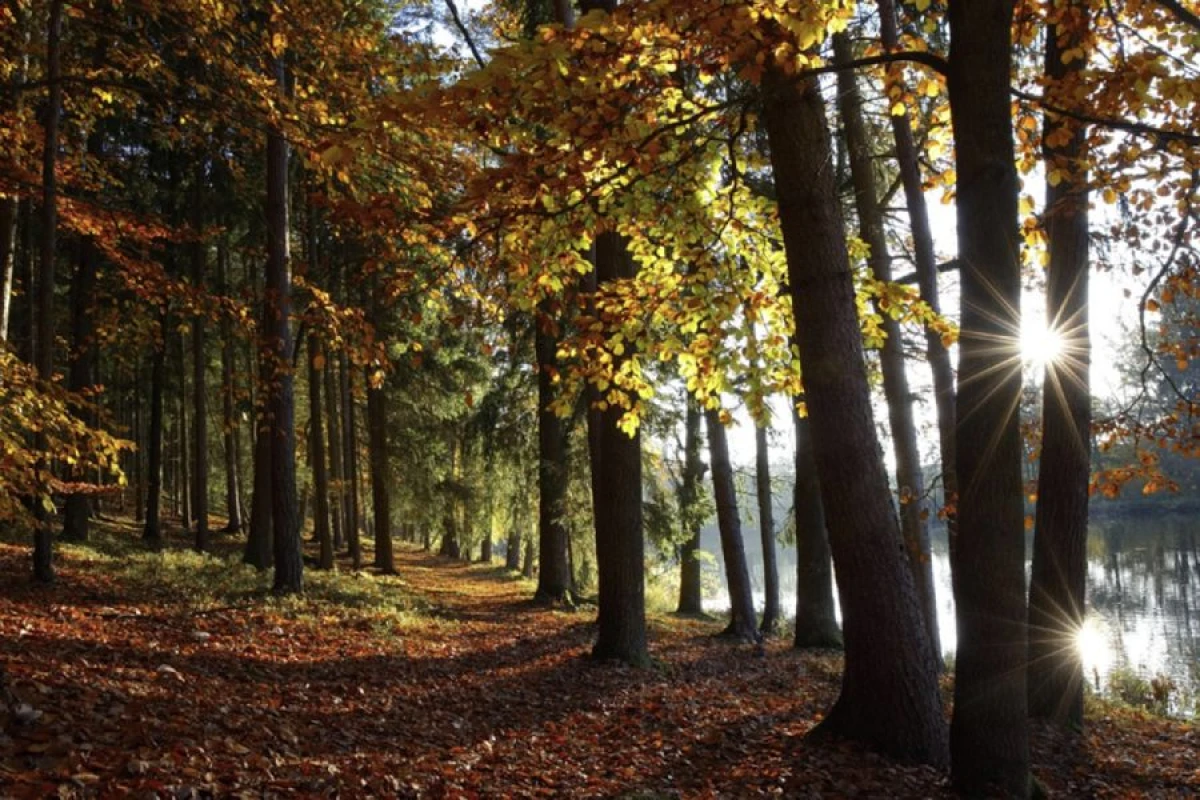 Sabah hava necə olacaq? [[- PROQNOZ]]