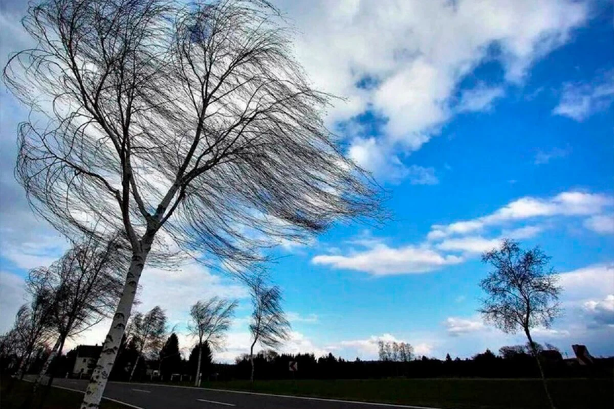 Bəzi rayonlarda külək güclənib [[- FAKTİKİ HAVA]]