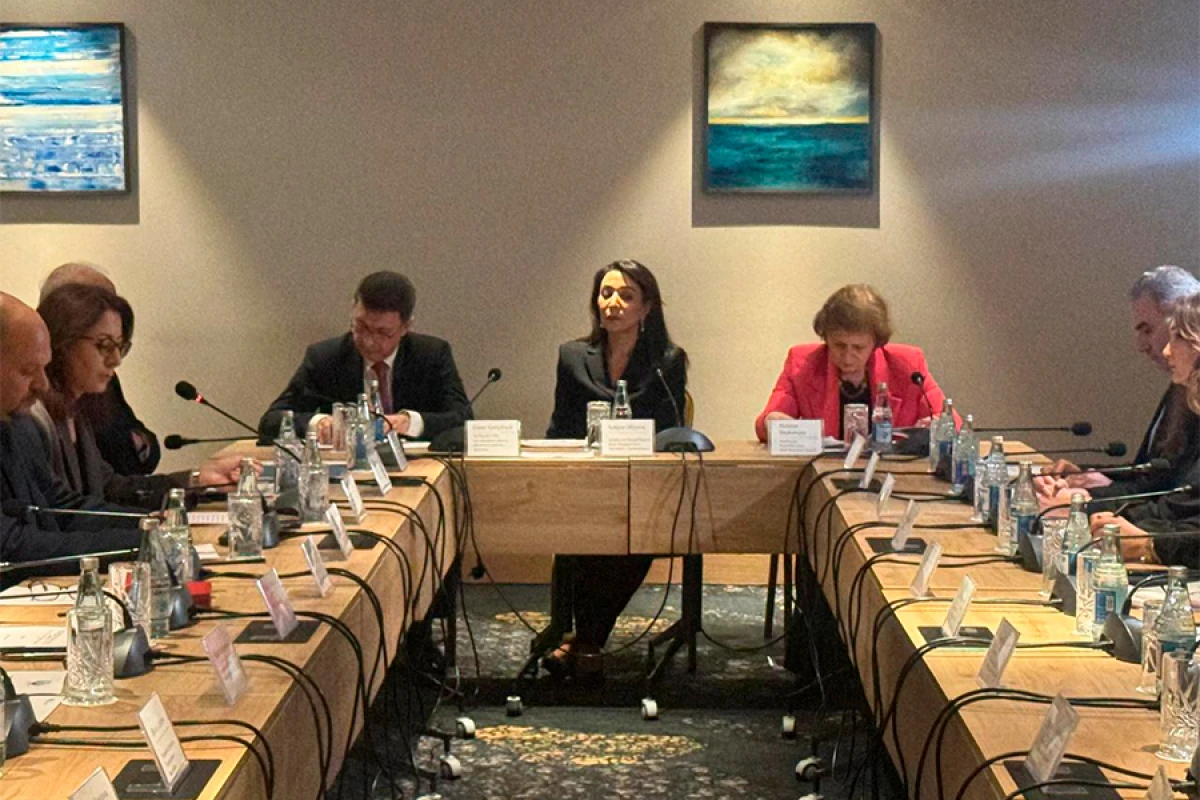 Ombudsman: "Heç kəs psixoloji yardım və reabilitasiya imkanlarından kənarda qalmamalıdır”