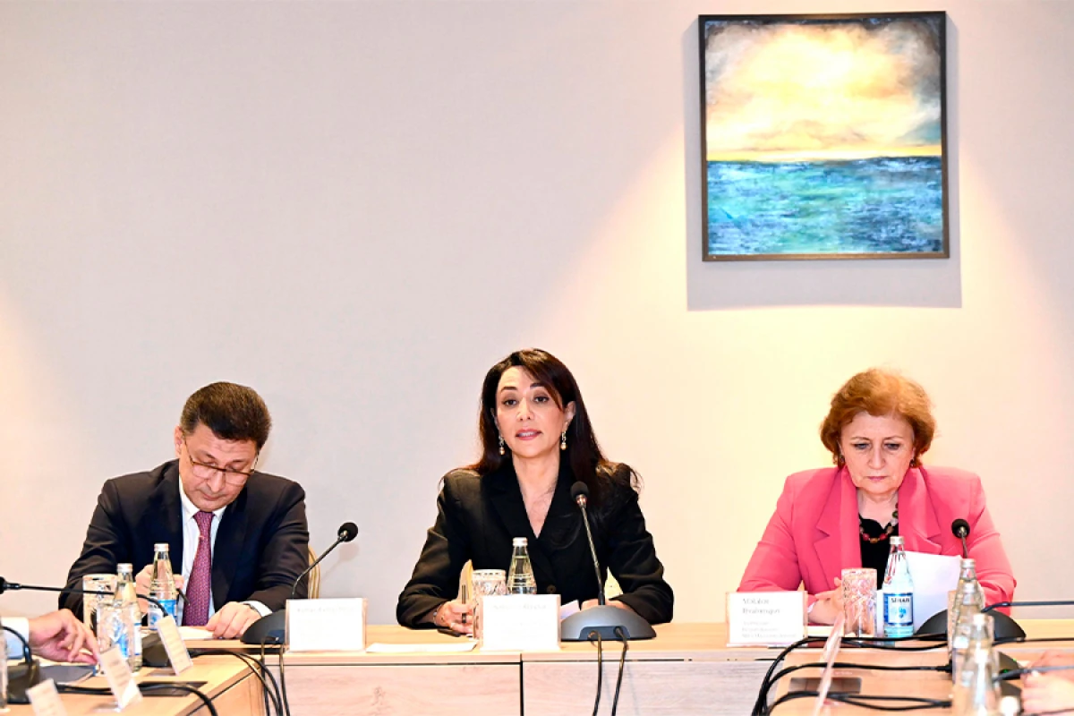 [[Ombudsman Səbinə Əliyeva:]] ”Uşaq mərkəzləri ilə bağlı da problemlər mövcuddur”