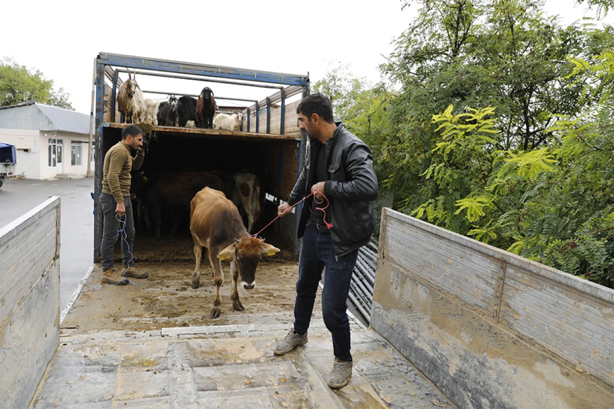 Daha 20 ailə üçün [[özünüməşğulluq proqramı üzrə]] kiçik bizneslər yaradıldı
