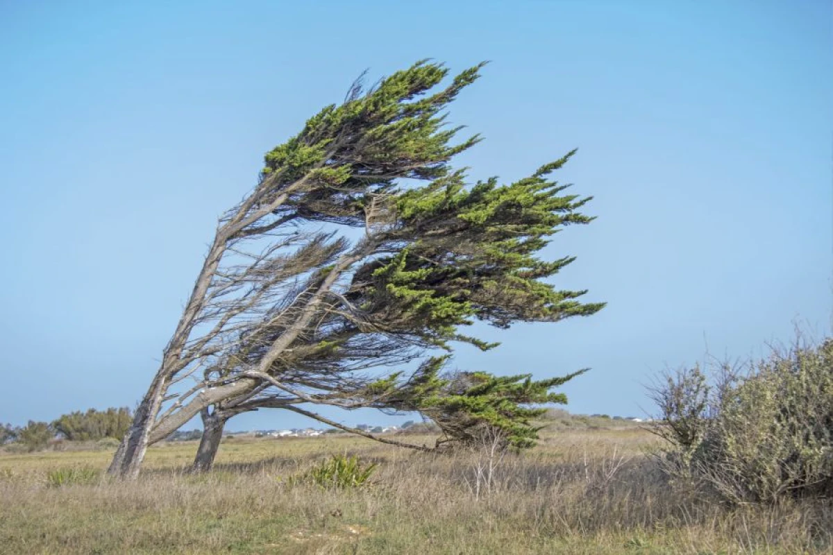 Küləkli hava şəraiti ilə bağlı [[xəbərdarlıq verildi]]