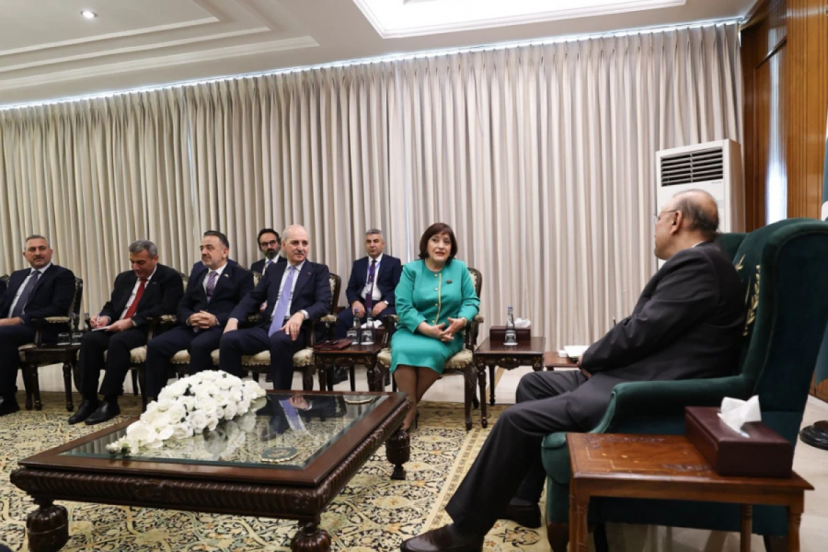 [[Milli Məclisin sədri]] Pakistan Prezidenti ilə görüşdü