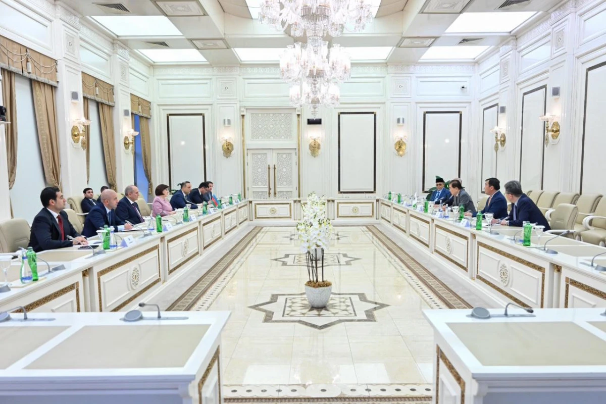 [[Sahibə Qafarova]] ICAPP-ın nümayəndə heyəti ilə görüşdü