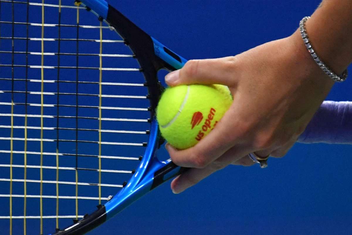 Avropada [[cinayətkar qrup]] ifşa olundu