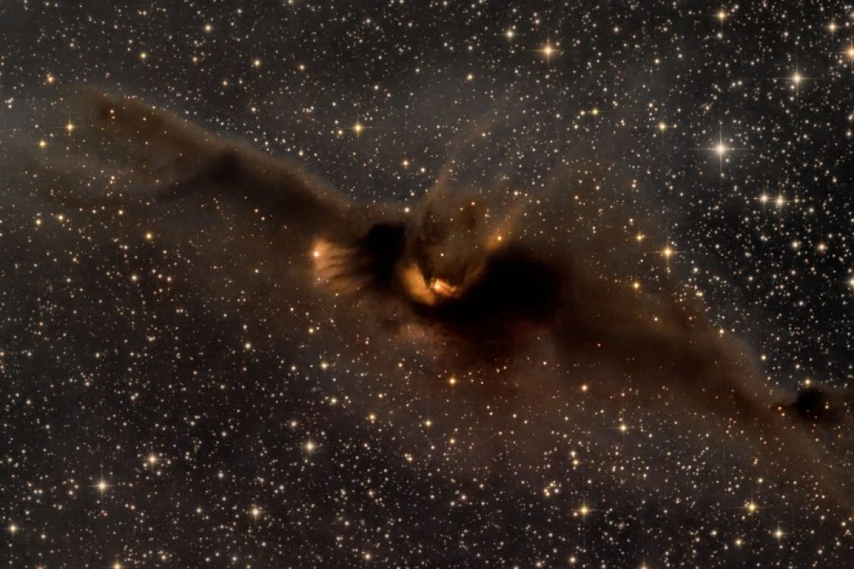 Astronomlar [[“kosmik yarasa”]] kəşf etdilər