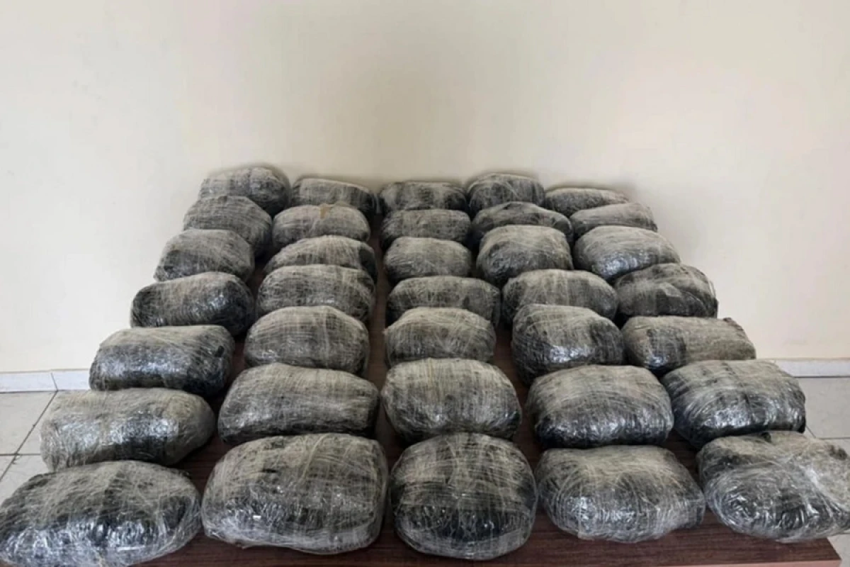 [[DSX:]] Ötən ay 489 kiloqramdan çox narkotik aşkarlanıb