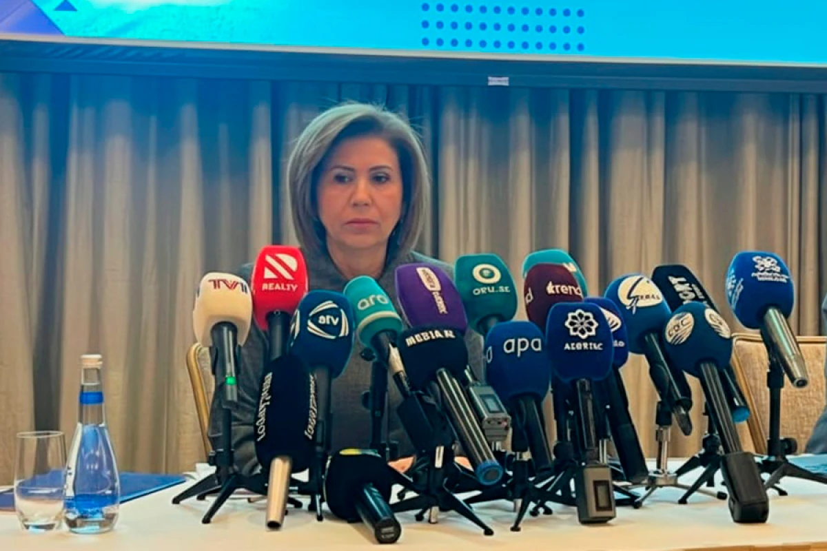 [[Bahar Muradova:]] "Komissiyaların fəaliyyəti vahid yanaşma əsasında həyata keçiriləcək"