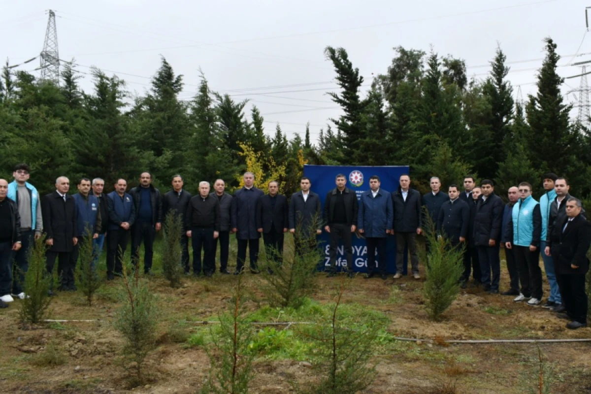 Yasamalda [[ağacəkmə aksiyası keçirildi]]