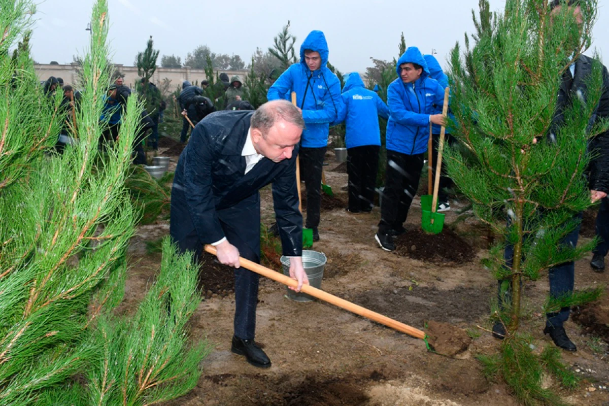 Zəfərin 5-ci ildönümünə həsr edilən ağacəkmə aksiyası keçirildi [[- FOTOLAR]]