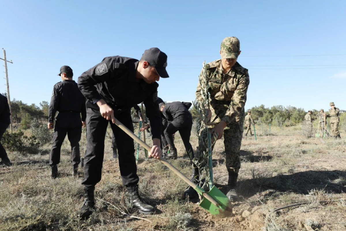 DİN əməkdaşları [[Zəfər Günü]] ilə əlaqədar ağacəkmə aksiyası keçirdi