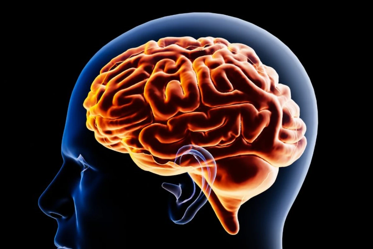 Sağlam olmayan həyat tərzi [[beynin qocalmasını sürətləndirir]]