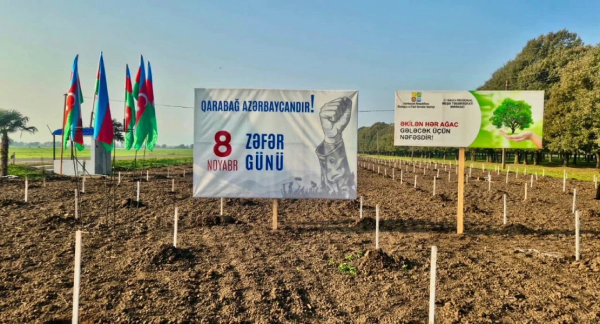[[Zəfər Günü münasibəti ilə]]  30 mindən çox ağac əkildi