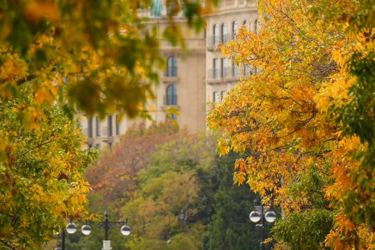 Sabah hava necə olacaq? [[- PROQNOZ]]