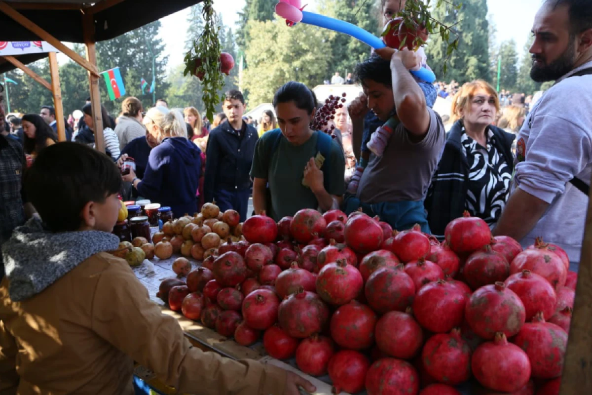 Göyçayda ənənəvi [["Nar Festivalı"]] keçirildi