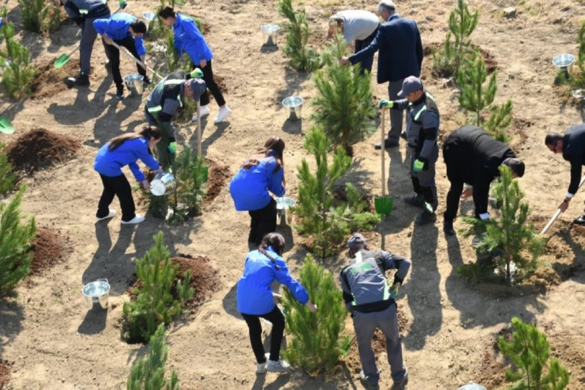 Ölkə üzrə [[111 111 ağac]] əkiləcək