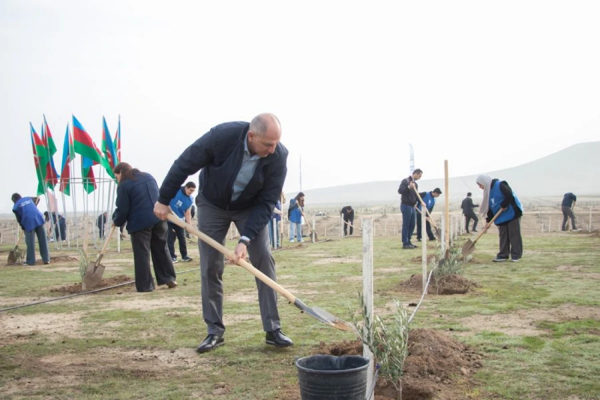 [[“Gələcəyə nəfəs!” aksiyası]] çərçivəsində bir gündə 111 111 ağac əkildi