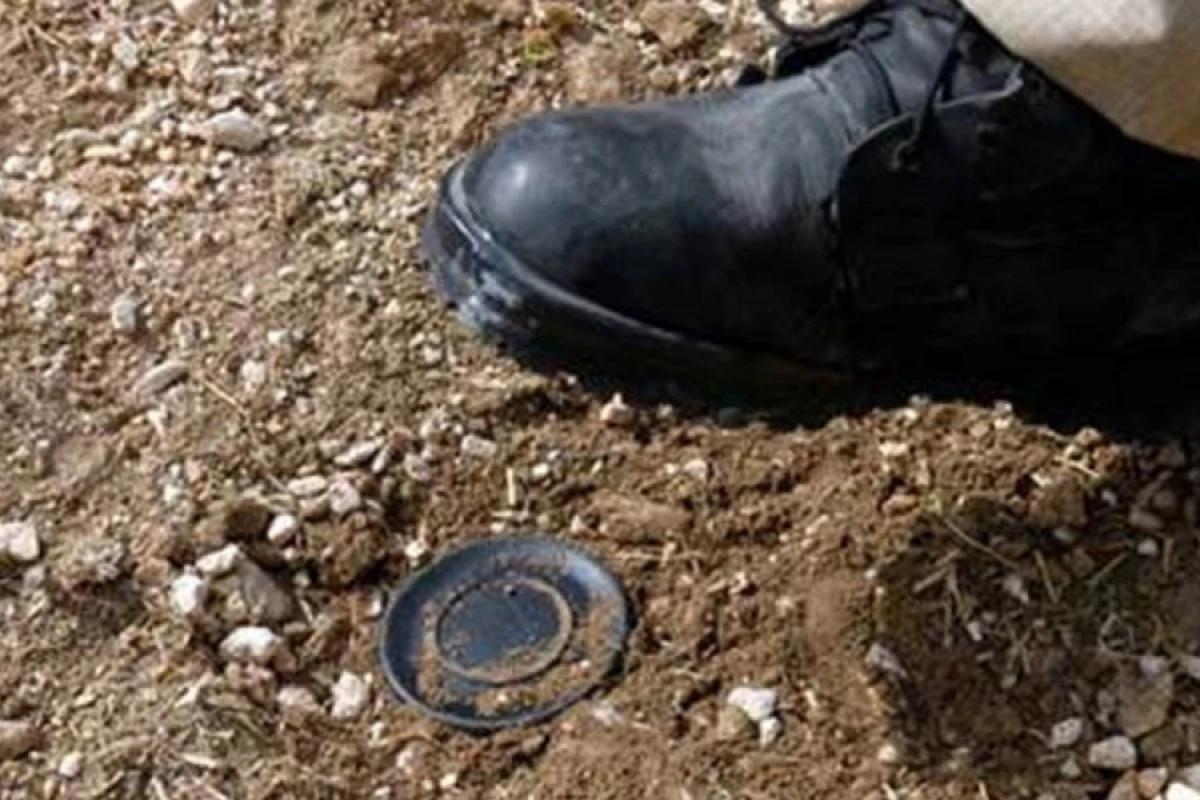 Son beş ildə 412 nəfər mina partlayışından zərər çəkib