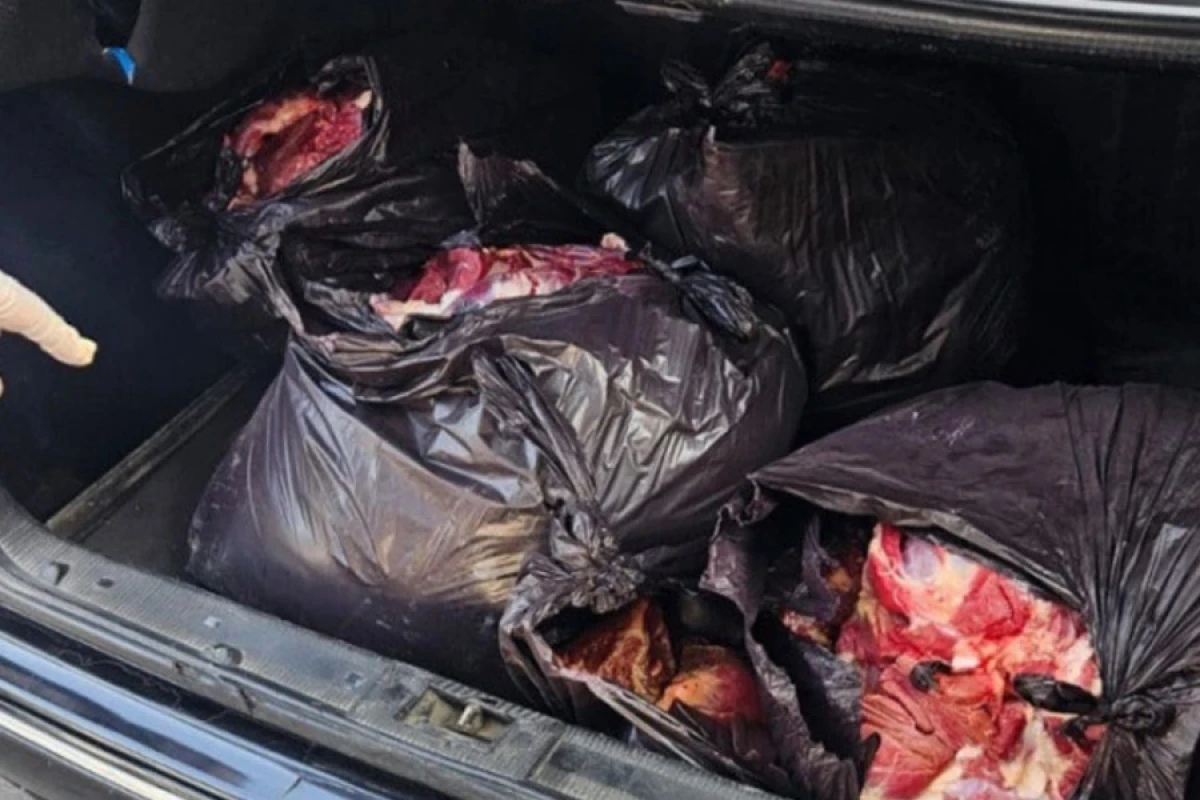 Bərdədə 154 kiloqram [[at ətinin mal əti adı ilə]] satışa çıxarılmasının qarşısı alındı