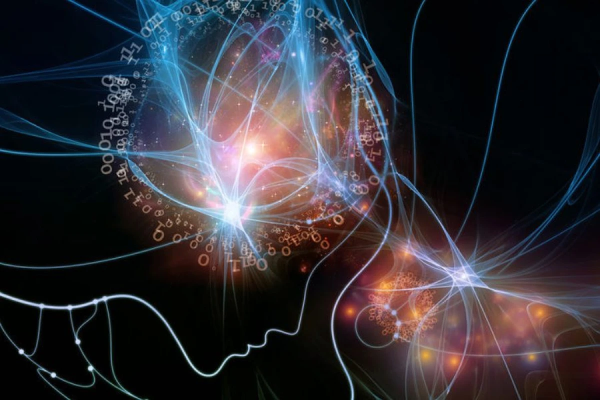 Şüur kainatın [[əsas elementi]] ola bilər