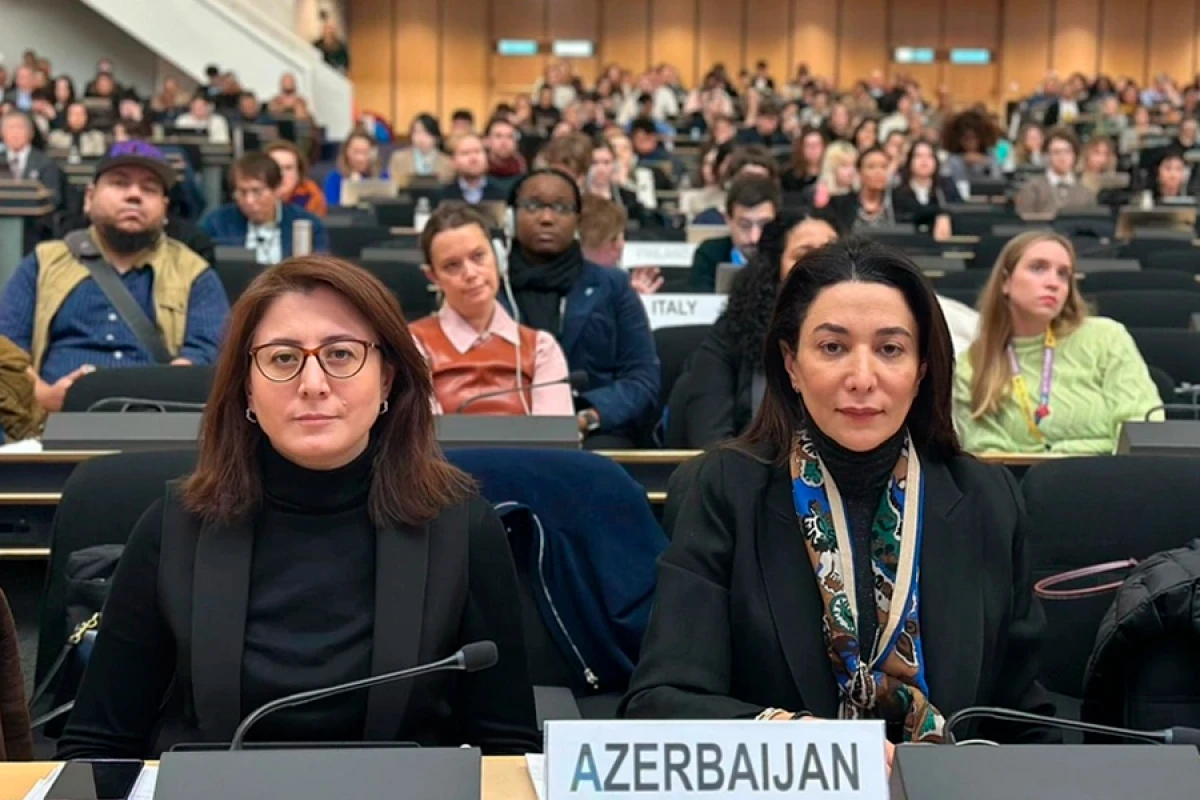 [[Səbinə Əliyeva]] BMT Forumunda mina problemindən danışdı